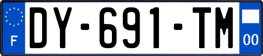 DY-691-TM