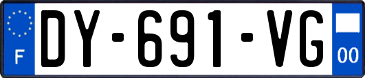 DY-691-VG