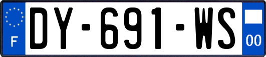 DY-691-WS