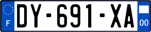 DY-691-XA