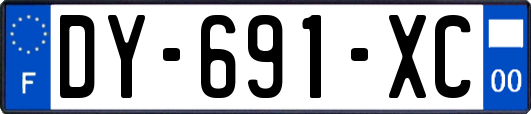 DY-691-XC