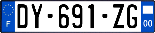 DY-691-ZG