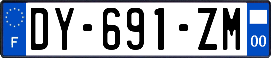 DY-691-ZM