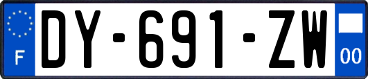 DY-691-ZW