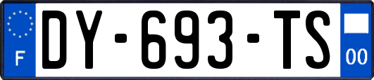 DY-693-TS