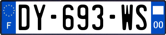 DY-693-WS