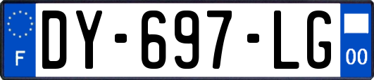 DY-697-LG