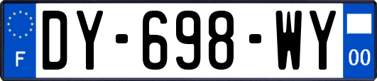 DY-698-WY