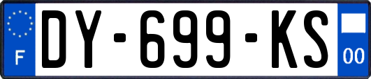 DY-699-KS