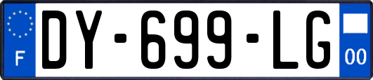DY-699-LG