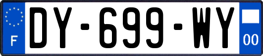 DY-699-WY