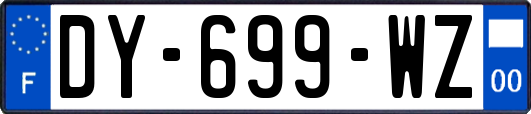 DY-699-WZ