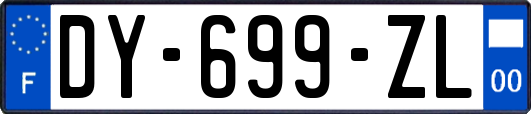 DY-699-ZL