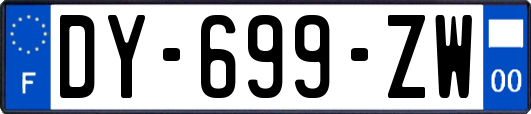 DY-699-ZW