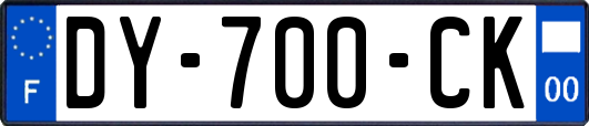 DY-700-CK