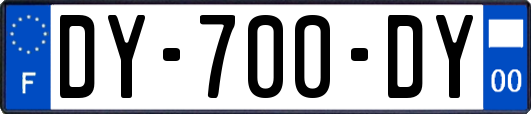 DY-700-DY