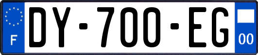 DY-700-EG