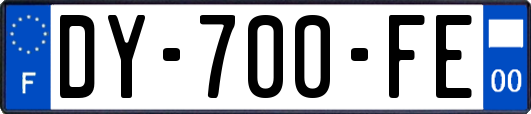 DY-700-FE