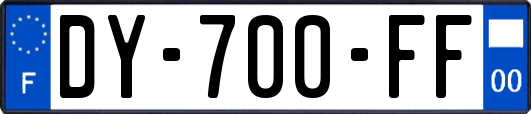 DY-700-FF