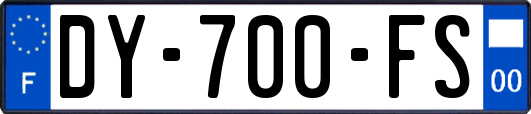 DY-700-FS