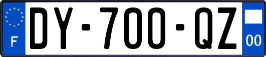 DY-700-QZ