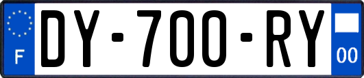 DY-700-RY