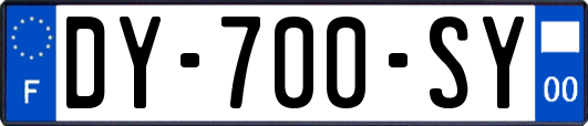 DY-700-SY