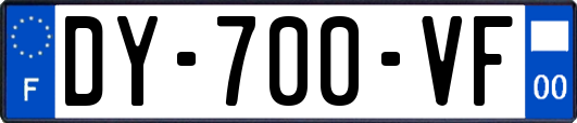 DY-700-VF