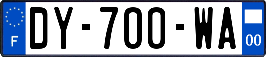 DY-700-WA