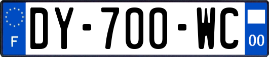 DY-700-WC