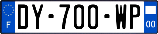 DY-700-WP