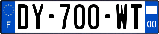 DY-700-WT