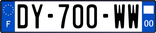 DY-700-WW