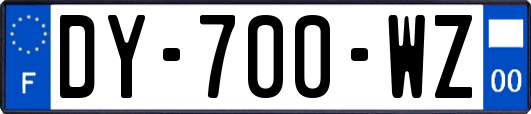 DY-700-WZ