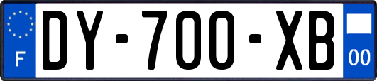 DY-700-XB