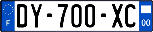 DY-700-XC