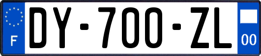 DY-700-ZL