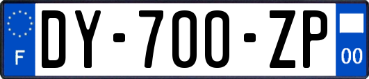 DY-700-ZP