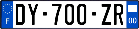 DY-700-ZR