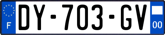 DY-703-GV