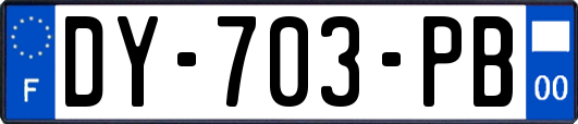 DY-703-PB