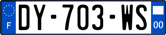 DY-703-WS