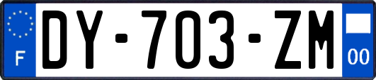 DY-703-ZM