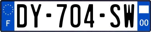 DY-704-SW