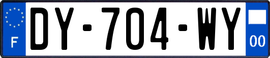 DY-704-WY