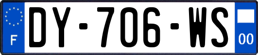 DY-706-WS