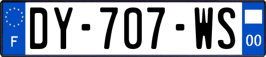 DY-707-WS