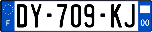 DY-709-KJ