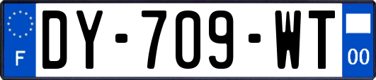 DY-709-WT