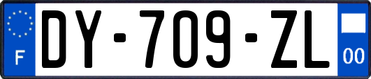 DY-709-ZL